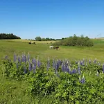 Przy Stoku 므랑고보