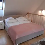 Przy Stoku 아파트 *